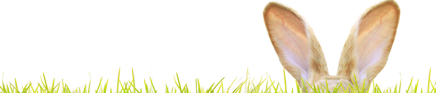 Frühling