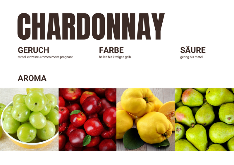 2018er Chardonnay (trocken) - Die Weinmanufaktur