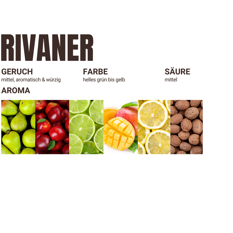 2024er Rivaner