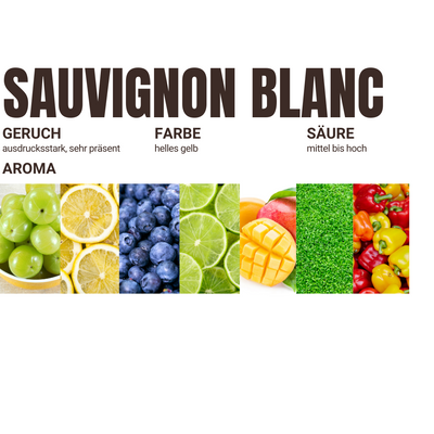 2023er Sauvignon Blanc (trocken)