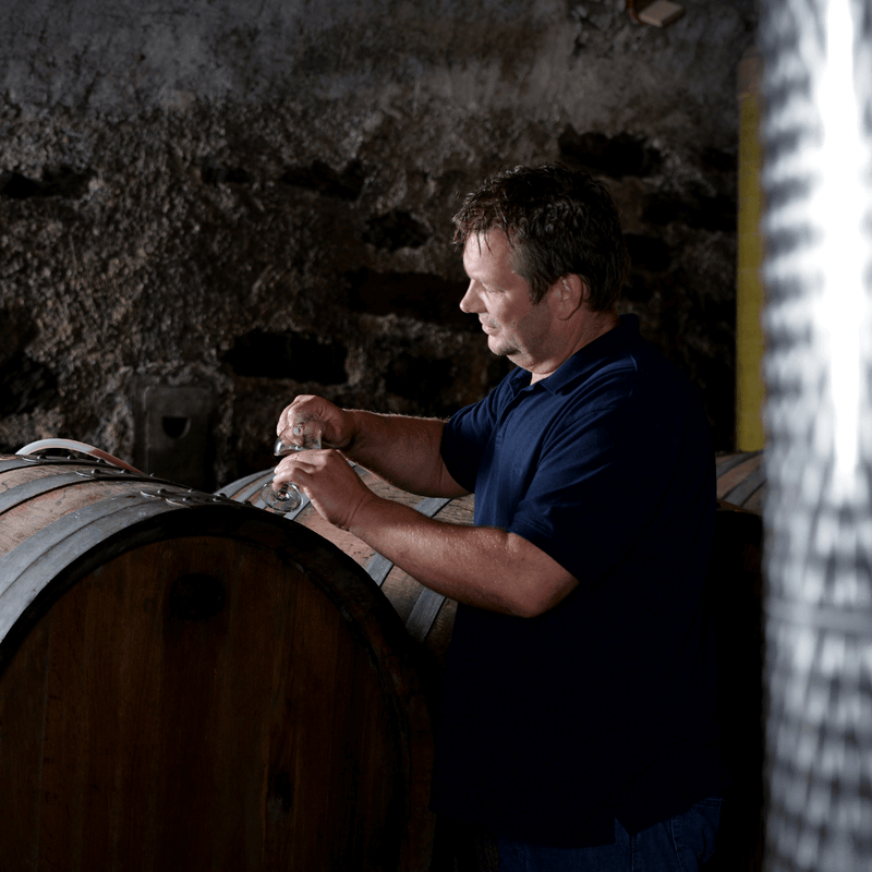 2020er Dornfelder (Eichenfass gereift, feinherb) - Die Weinmanufaktur