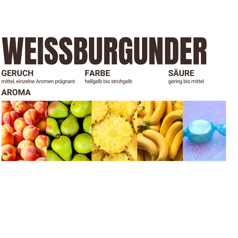 2024er Weißburgunder (trocken) - Die Weinmanufaktur