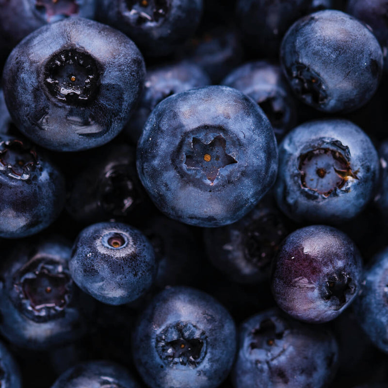 Blaubeere