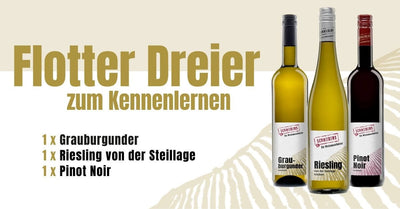 Flotter Dreier zum Kennenlernen – Die Weinmanufaktur